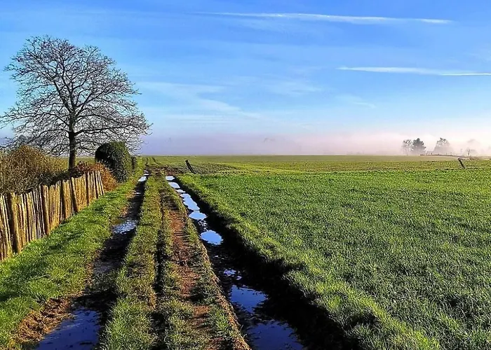 Ferienhaus Holiday Home Komplett Neue Laendliche Unterkunft Im Cottage-Stil Komfort By Interhome Ellezelles